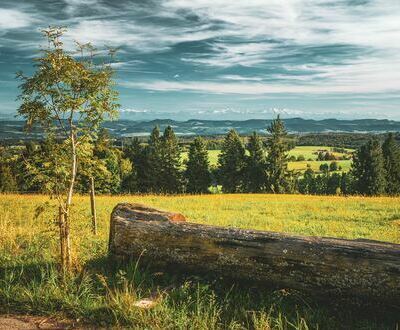 Bank nahe Naturfreundehaus in Altenschwand