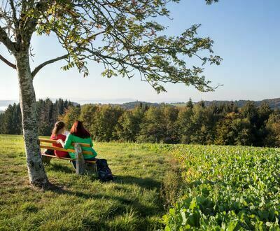 Unterhalb Kaisermatte in Grwihl