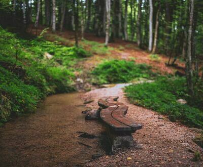 Baumelbank am Heidenwuhr auf dem Hotzenpfad