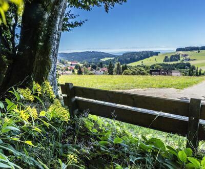 Oberhalb Niedergebisbach 