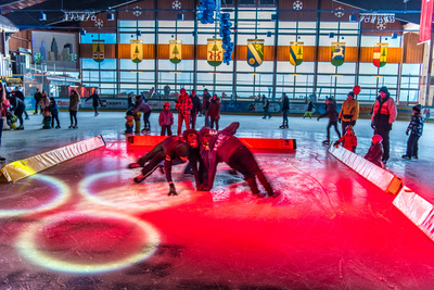 Ice Free Styler Herrischried Ice Free Styler Herrischried