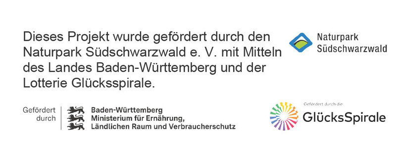 1747656658147-47eb724a-800b-4fbd-a25a-1966fb40e982_1