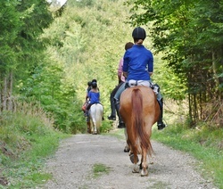Wanderreiter im Wald