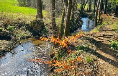 Wuhren Schleife am Hänner Murg bei Hottingen