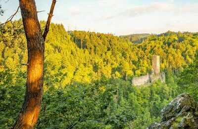 Burgruine Wieladingen_K